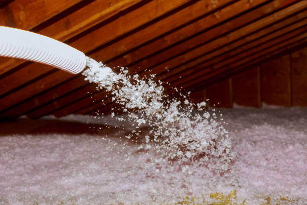 Best Cellulose Insulation  in Tonawanda, NY