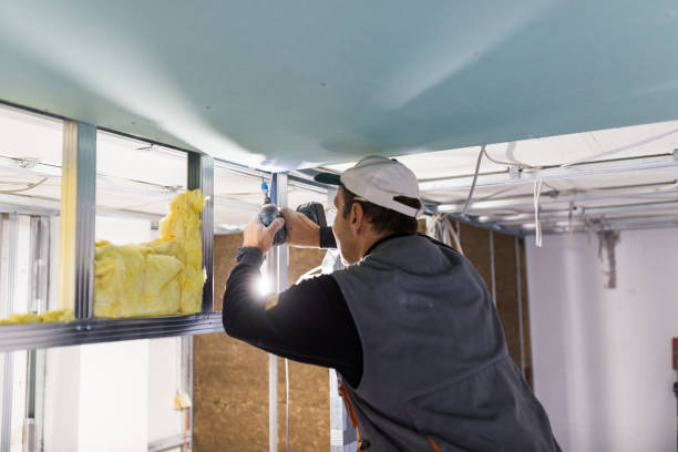 Best Home Insulation Services  in Tonawanda, NY