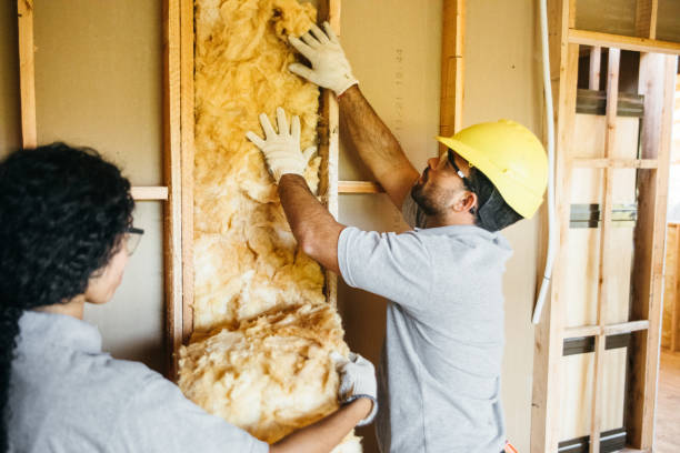 Best Affordable Insulation Services  in Tonawanda, NY
