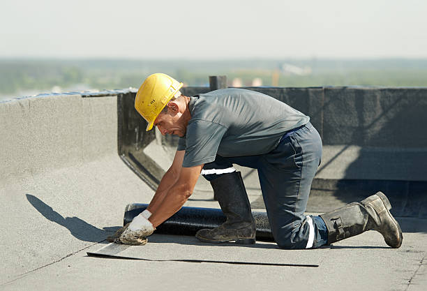 Best Insulation Contractor Near Me  in Tonawanda, NY